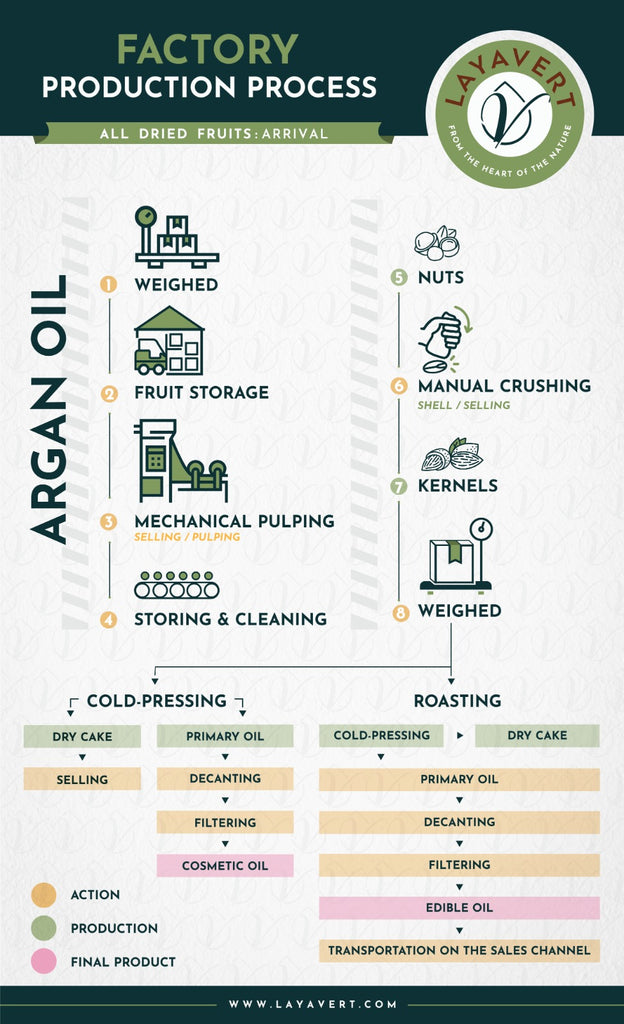The Cold Pressing Process of Argan Oil: From Seed to Bottle